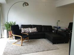 Clementi Park (D21), Condominium #575903631